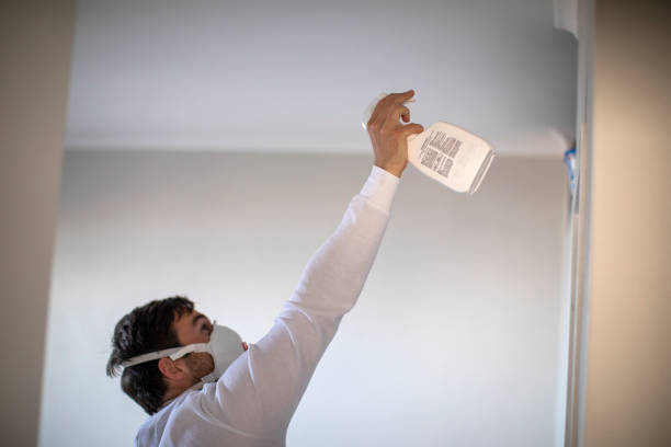 Best Mold Damage Repair  in Mount Arlington, NJ