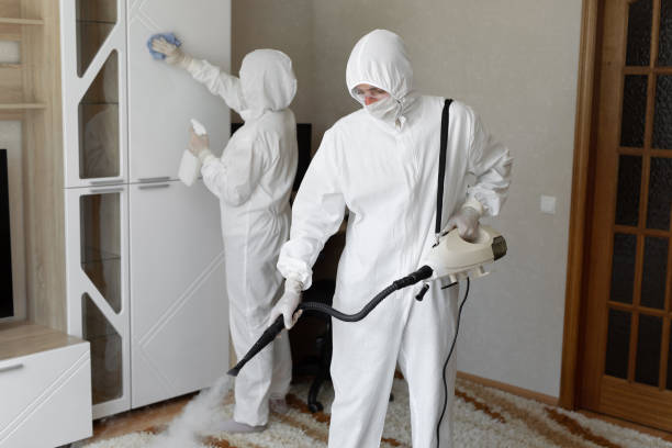 Best Attic Mold Removal  in Mount Arlington, NJ