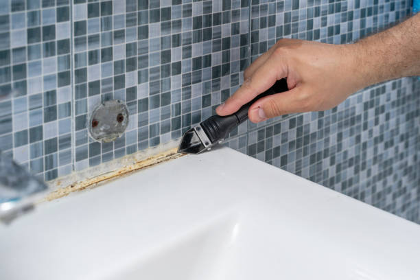 Best Mold Removal Company Near Me  in Mount Arlington, NJ